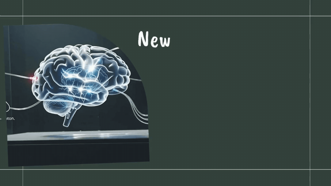 Vidéo Full HD 1920x1080  px.gif