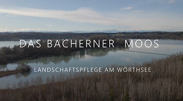 Alpenflimmern2025-BachernerMoos-vorschau-Website.jpg