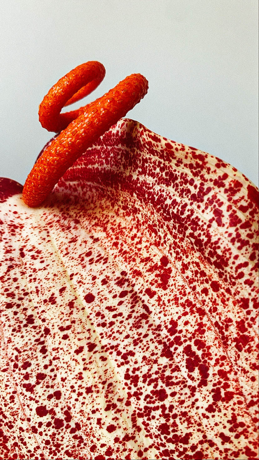 a close up of a leaf with red spots on it