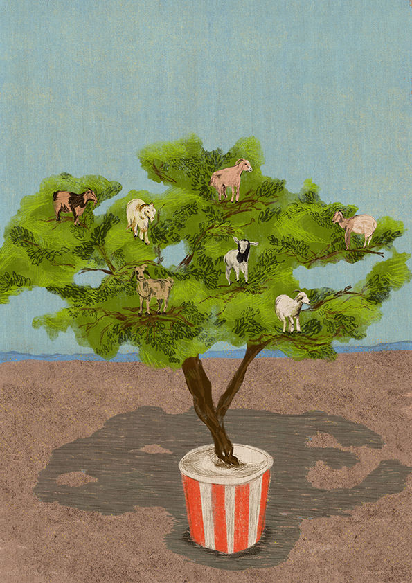 Spot The Goats In The Tree