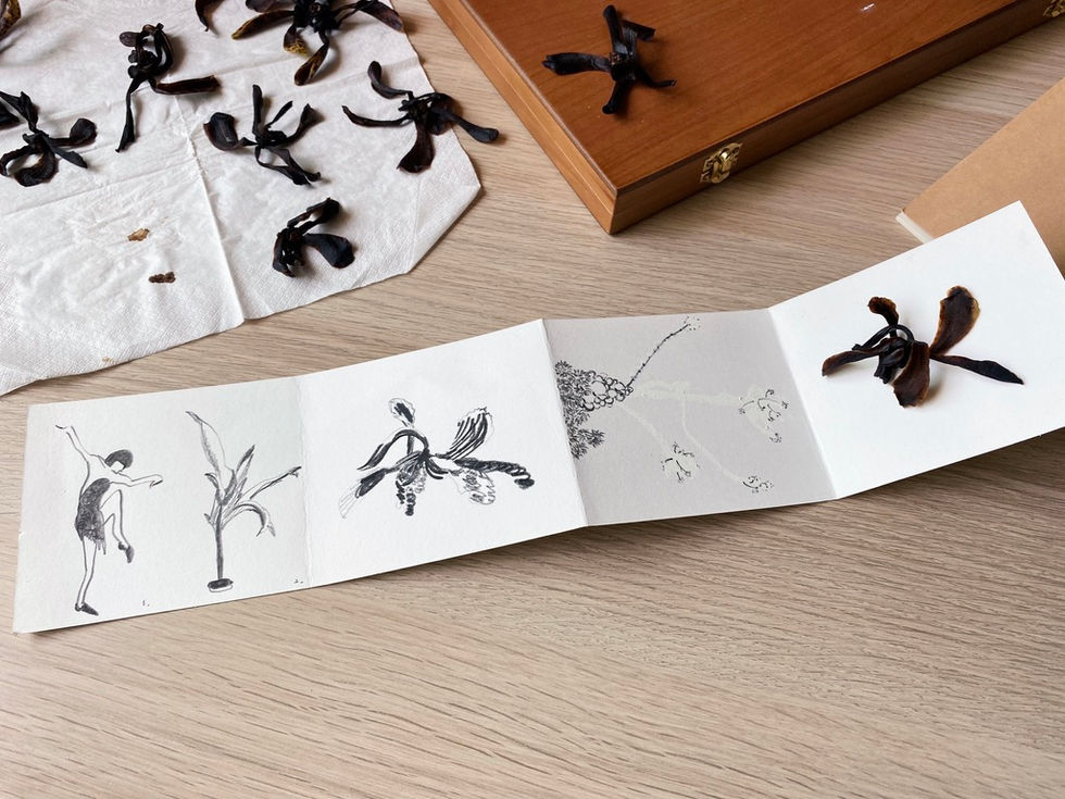 a book is open to a page with drawings of flowers on it