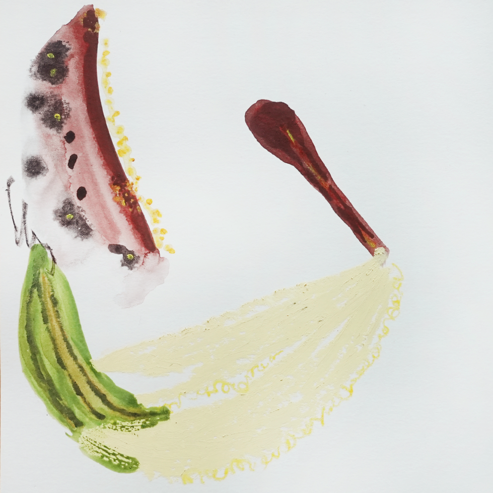a painting of abstract microscopic botanic