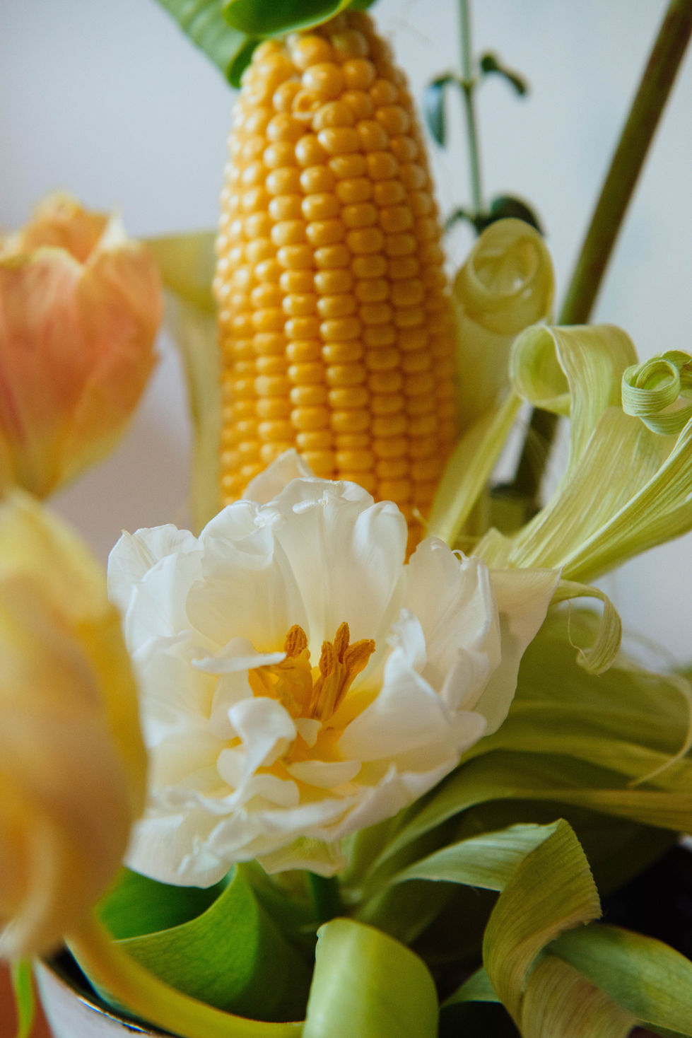 a close up of a flower with corn on the cob in the background
