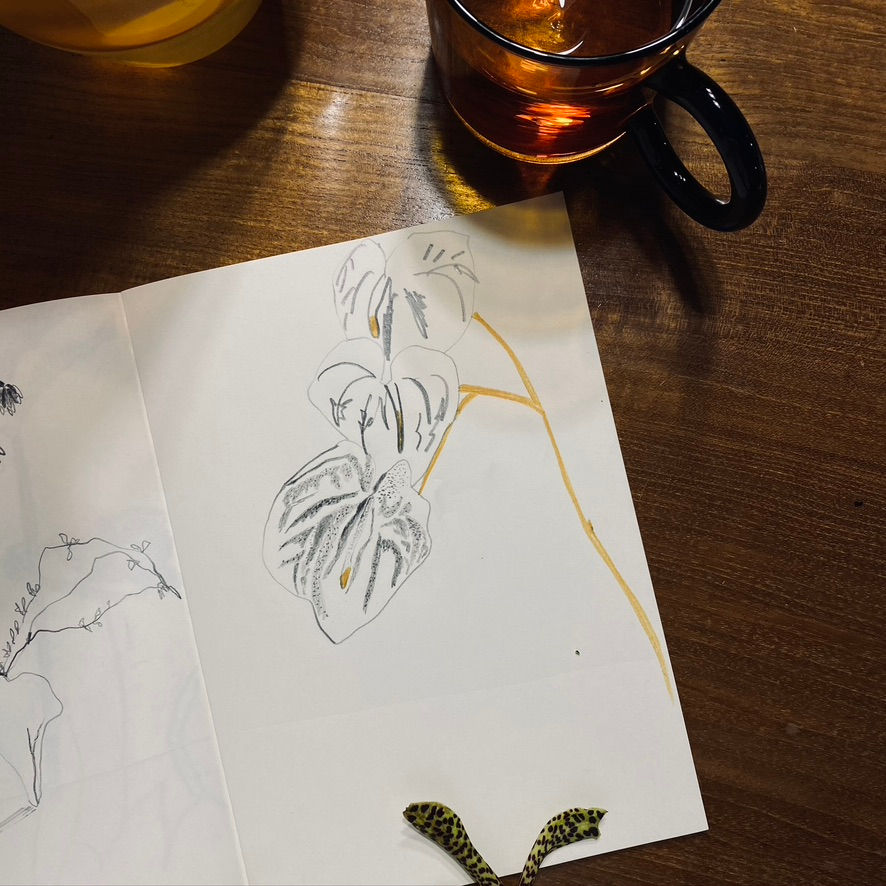 a drawing of a plant next to a cup of tea