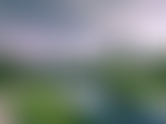 ¿Qué son las ciudades comestibles y por qué contribuyen a la seguridad alimentaria