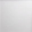 just white blank image.jpg