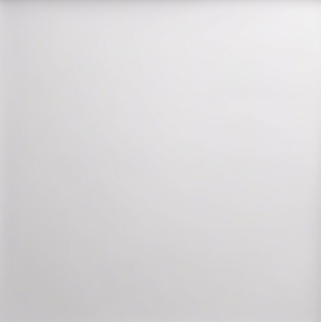 just white blank image.jpg