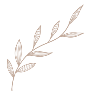 Rocky Mountain Women’s (3).png