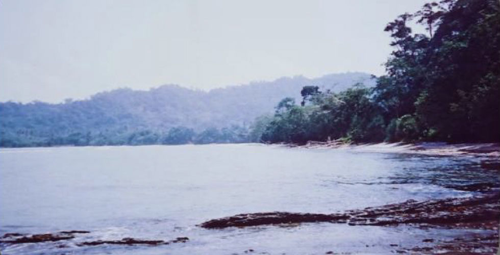 Marufinas Property 2