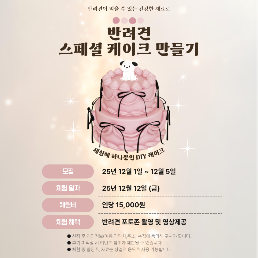 반려견 스페셜 케이크 만들기