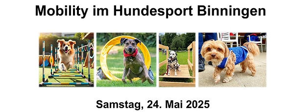 Mobility Banner.jpg-1.jpg