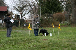 IMG_9207 (2)