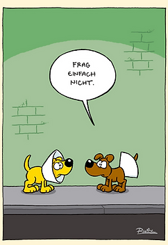 Bild1.png
