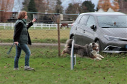 _MG_5382 (2)