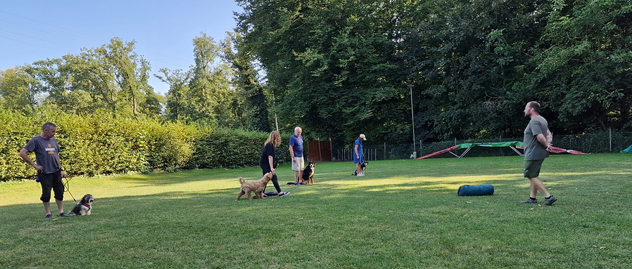 20240822_172947.jpg