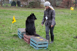 _MG_5306 (2)