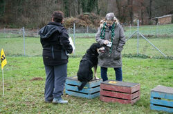 IMG_9204 (2)
