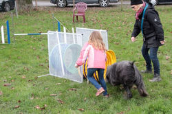 _MG_5330 (2)
