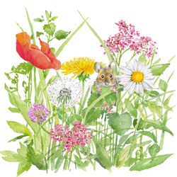 Motiv Spring B2 weiß
