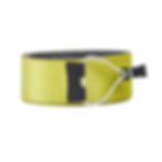 Fischer Skin Transalp RC Carbon