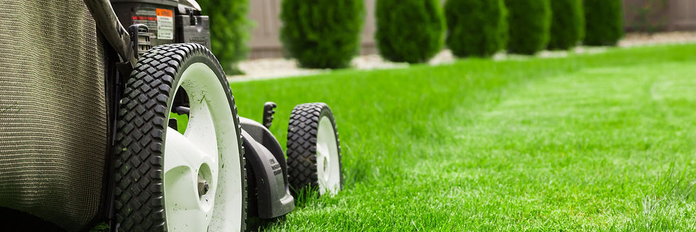 Mowing.jpeg