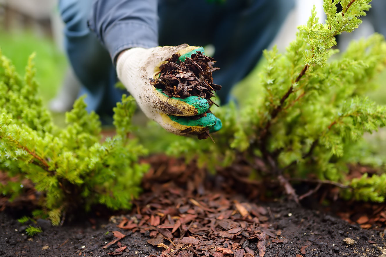 Mulch Installation.jpeg