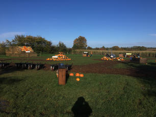 Blue Sky at Hatter's Farm
