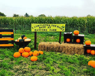 Maize Maze Photo