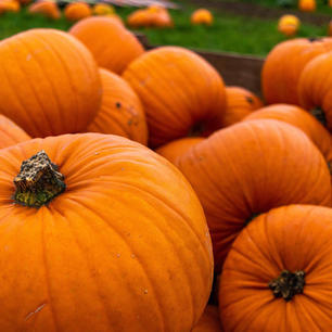 Pumpkins