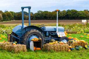 The Vintage Tractor