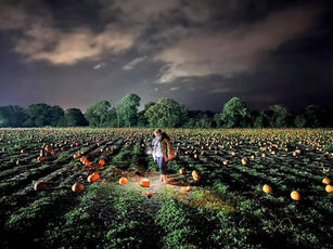 Pumpkin Nights pic in field.jpeg