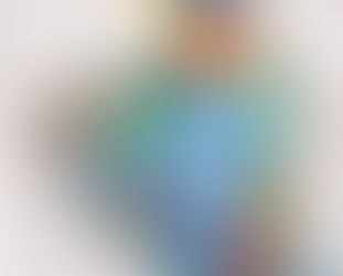 Eisvögel - Edelsteine mit Flügeln