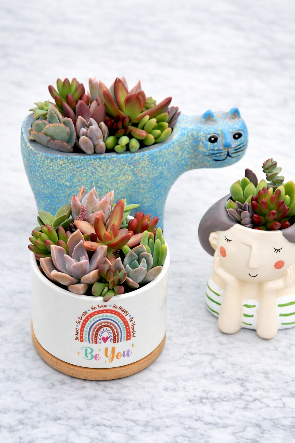 Miniaturbild: Mini-Sukkulenten-Stecklinge im Herz – Set mit 3 Boxen (mind. 30 Stück)