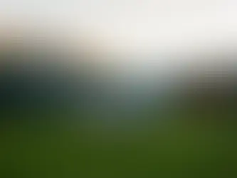 Hubschrauber auf grünem Feld vor Blockhütte in den Bergen. Abendstimmung, klare Sicht, Menschen im Hintergrund. Luxuriöse Atmosphäre.