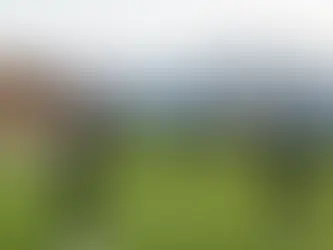 Golf Lessons Near Munich with a PGA-Certified Coach