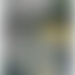 Головні помилки при виборі огорожі для спортивного майданчика