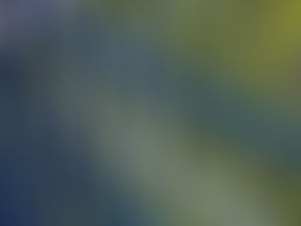 Яким має бути спортивний паркан