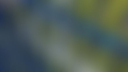 Яким має бути спортивний паркан