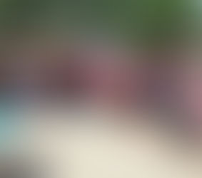 Services civiques mis a l’honneur à la plage d’Avion : Diplômes , sourires et partage entre jeunes engagés .