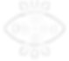 Vital Vision web icons 2025-21.png