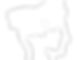 Vital Vision web icons 2025-19.png