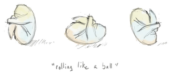 rolling like a ball front.png