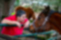 Rosie Gutierrez and a horse at Sweet Water Rescue and Rehab, a nonprofit 501(c)(3) farm sanctuary in Williston, Florida that rescues and rehabilitates a variety of animals, including cats, dogs, horses, miniature horses, rabbits, pigs and donkeys. We have successfully rehabilitated animals with serious injuries and medical conditions, that were adopted by loving families and have gone on to flourish in their new homes. We provide a sanctuary setting for animals with ongoing medical issues or that cannot be rehomed so they can live out the rest of their lives in an atmosphere of comfort and care.