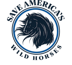 ChatGPT Image Jan 5, 2026 at 01_27_13 PM.png