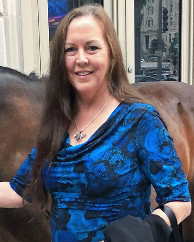 Save America's Wild Horses