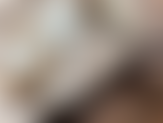 しっとりと山の中