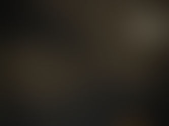 とりのとりっぷ