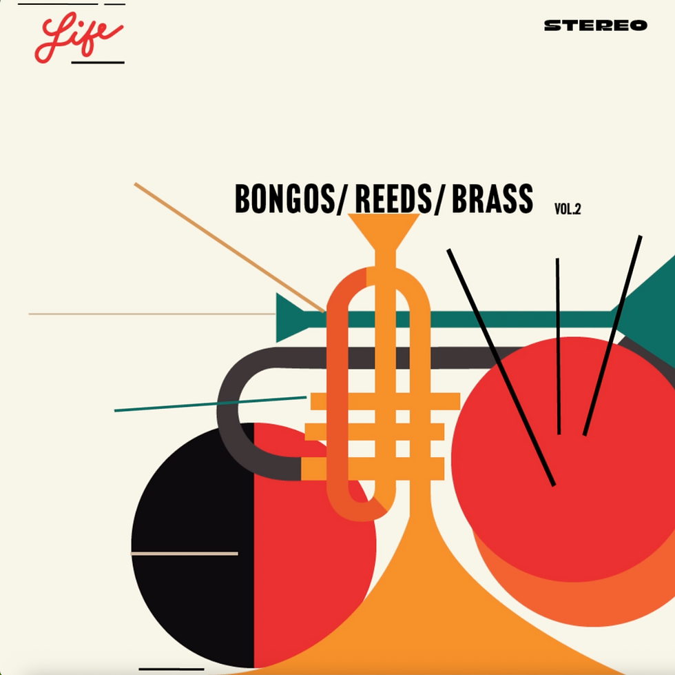 Kenney.Bongos.Reeds.Brass.Animation.mp4