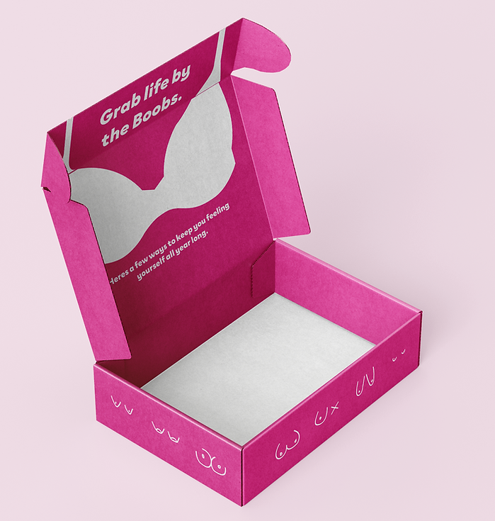 Mailer_Box_Mockup_3.png