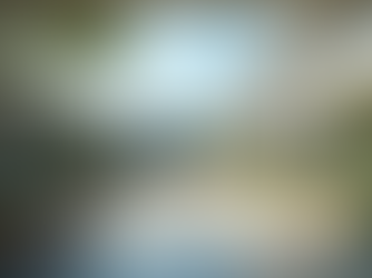 Unlocking Global Opportunities: SMU's A Level Framework